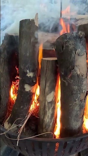HOW TO MAKE LUMP CHARCOAL - D.I.Y. #shorts #diy #campping #bushcraftcamping