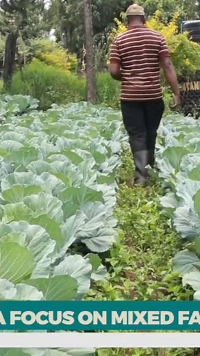 Vegetable Farming at Home Made Easy