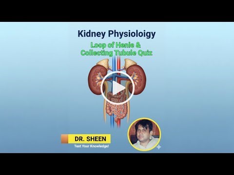 Kidney Physiology Loop of Henle & Collecting Tubule Quiz-4