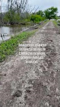 Denton tx best Trails to walk 2026 with Electrico