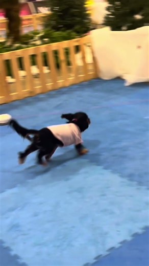 That’s my dawggg💕💕✨