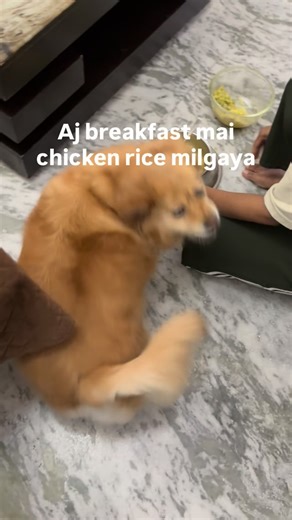 Ginger 🫚 on Instagram