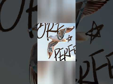 Two Stories About Flying Part 1 His First Flight Class 10 Hindi Explanation & Summary