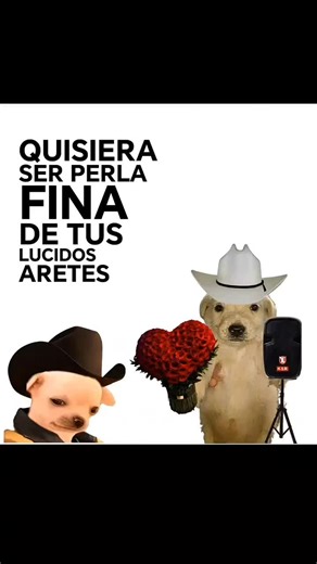 #fyp #music #valentinelizalde #dedicar #parati