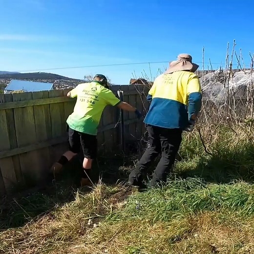 Overgrown Garden gets Transformation _ Satisfying Garden Makeover | Unofficial: Next