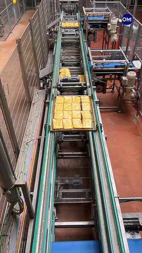Was macht eigentlich eine Fachkraft für Lebensmitteltechnik? Das haben wir Fabian Meyer aus Neuenkirchen-Vörden, Auszubildender im dritten Lehrjahr bei Wernsing Feinkost, gefragt. Uns hat er einen Einblick in die Produktion des Unternehmens in Lüsche gewährt und gezeigt, wie vielseitig sein Job ist - und welche Produktionsprozesse dazugehören, wenn aus frischen Kartoffeln die leckersten Gerichte entstehen. Besuch’ doch auch mal unsere Themenseite zur #berufswahl auf www.om-online.de. Dort findes