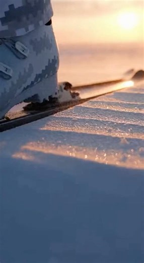 U.S. Special Operations — Modern Operations | Tundra Line Watch