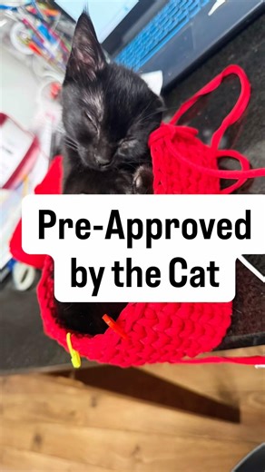 Crochet Rectangular Basket Tested by the Kitten