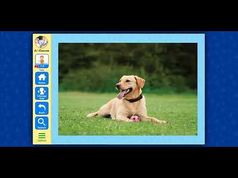 A Look Inside ABCmouse: Words Ending In -og