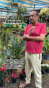 Cloud Forest is a paradise for plant lovers—fresh stock, rare varieties, and the healthiest greens every time 💚 #CloudForest #PlantLoversSpot #HappyPlants Booking no 8820011146 | Cloud Forest