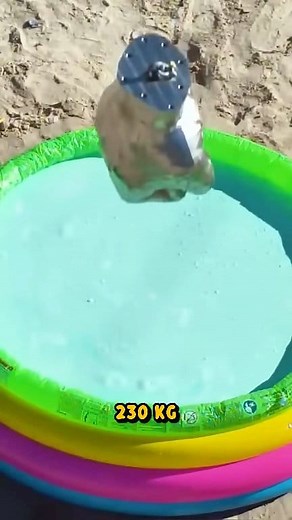 Fluide Non Newtonien vs 230kg | TV Renega