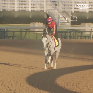 16K views · 238 reactions | LOOK: Here are all the horses running for the roses this year -- in order by position. Watch as they glide around the track! | WLKY News | Facebook
