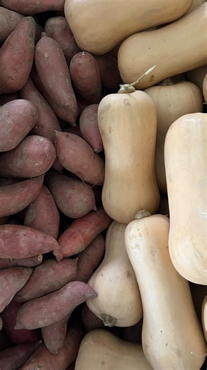156 reactions · 16 comments | An insider’s tour of the vegetable mines down in our barn! This is where the magic happens, sorting, cleaning, trimming, and weighing your vegetables all week. Mix in field trips to the high tunnels to pick your fresh salad greens. This is mostly what the next three months will look like, until we add the seedling greenhouses and maple sugaring to the mix in February and March. #maineorganic #mainefarms #organicfarming | Goranson Farm | Facebook