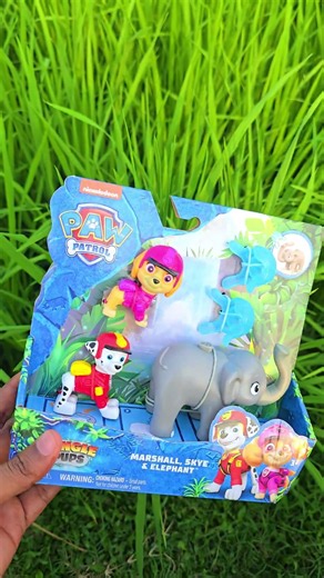 Satisfying Unboxing Experience with Paw Patrol Toys Collection #pawpatrol​ #pawpatroltoys​ #usa​
