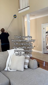 17M views · 146K reactions | Did you know that rodents and spiders don’t like the smell of peppermint? Let me know if you want the product info! #cleaningproduct #cleaningproducts #cleaning #viralvideo #cleaningtips | Live Composed | Facebook