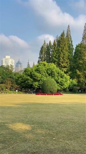 A Century-Old Green Oasis! 🌳⛲️ Exploring the Historic Zhongshan Park.(百年的绿色绿洲！🌳⛲️ 探访底蕴深厚的中山公园。)
