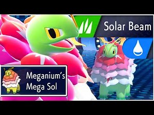 MEGA MEGANIUM Pokemon Champions Best Moveset Rain Team - How To Use Mega Meganium Competitive