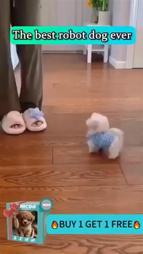 84K views · 413 reactions |  NICCO – The Ultra-Realistic Robotic...