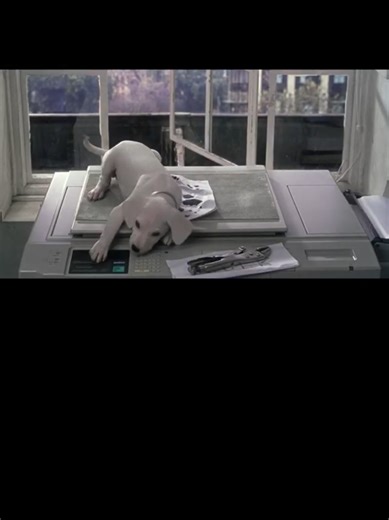 Thoughts While Removing Makeup: A Whimsical Reflection