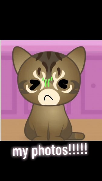 Guess the Kitty: Fun Photos to Challenge You!