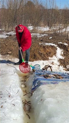 Amazing Ice Fishing! 🎣 Catching Hundreds of Fish in Frozen Stream ❄️#IceFishing​#FishingLife​ ,