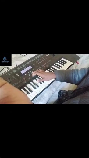 Roland E500 Music Performance Featuring Thomoyi