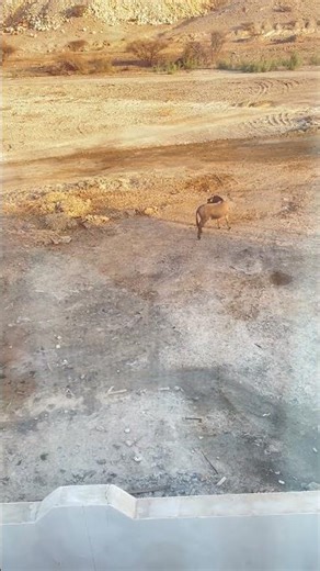 What I see everyday from my bedroom window