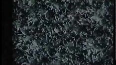 El video maldito(the ring)