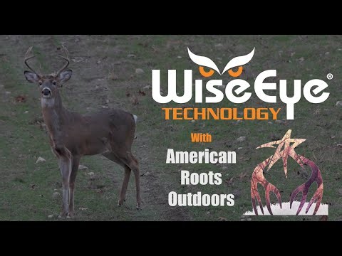 WiseEye Setup with Alex Rutledge