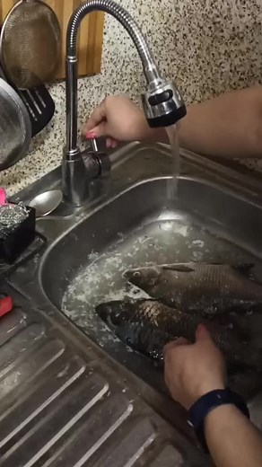 How to Properly Wash and Clean a Fish in Your Kitchen
