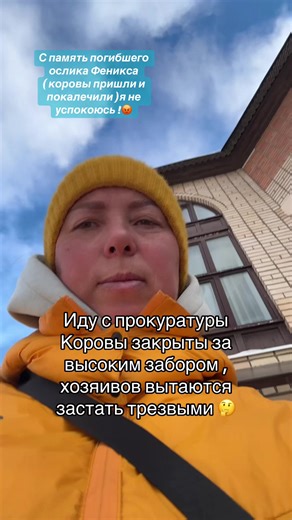 Не успакоюсь !!! Бродячие коровы забрали жизнь ослика Фенечки , кто следующий ? 😡🤔#молодечно #бродячиекоровы #живувдеревне🔥 #уходзаживотными #ялюблюсвоюработу