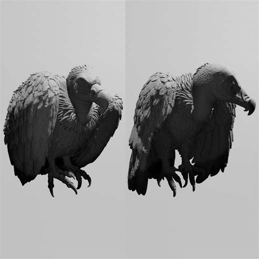 Geier STL 3D Print File, Predator Condor STL Downloads (2er Set) - Etsy.de