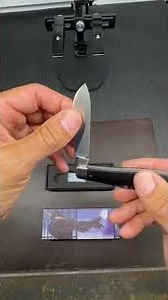 Jack Wolf Knives Gateway Equal End | Ebony Pocket Knife #Shorts