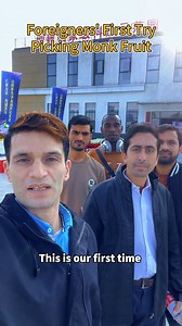 77 reactions | Foreigners’ first try picking monk fruit in Guilin’s Yongfu County—known as the “hometown of monk fruit!” Think you’d do better?#Monkfruit #Guilin #YongfuCounty #FruitsOfGuilin #TravelChina #AgriculturalExperience #Fruitpicking #HealthyFruits #ExploreGuilin | Discover Guilin | Facebook