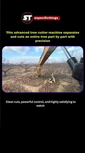 This Machine Cuts a Whole Tree PERFECTLY… Step by Step 😮🌲 #facts #shorts #viral