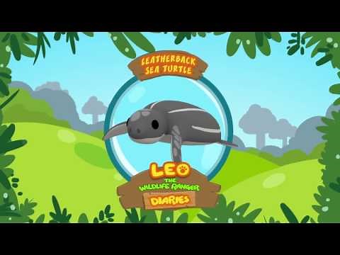 Leatherback Sea Turtle - Leo The Wildlife Ranger Animal Diaries | Animal Facts for Kids