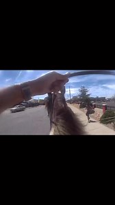 Albuquerque Police Department on Reels
