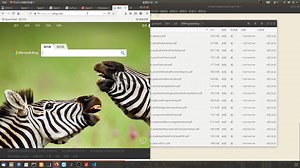 The OpenFOAM Technology Prime-Programming Overview