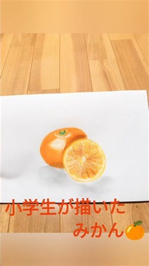 小学生が描いたみかん🍊の絵＃イラスト＃色鉛筆イラスト＃小学生＃アート＃みかん
