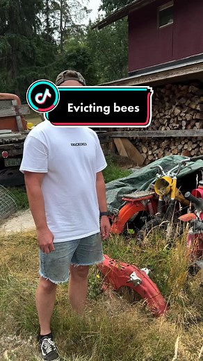 Step by step video on how to get rid of a wasp nest. Guaranteed to work for all situations. #waspnest #knackered #honda