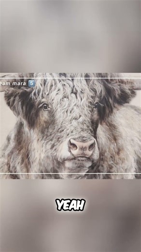 Team Belly vs Team Mara 5: The Great Egg Hunt Mystery! #shorts