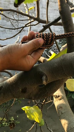 Simple rope knots tutorial 👌