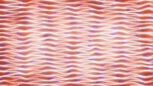 Smooth Muscle Cells Tissue Myocytes Animation Stock Footage Video (100% Royalty-free) 3529774377 | Shutterstock