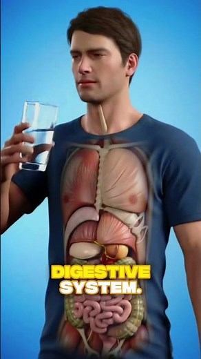 What Happens Inside Your Body When You Drink Water? | Digestive System Explained