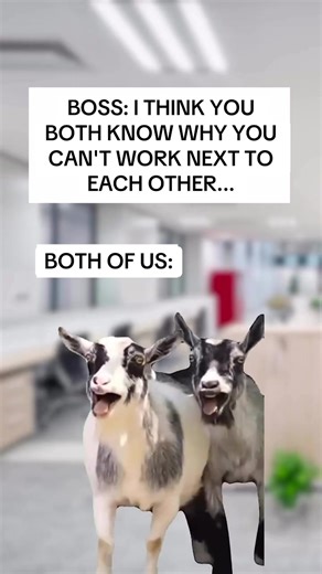 Relatable Office Moments Between Best Friends