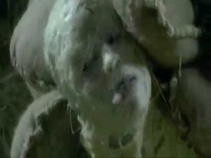 Björk - Where is the Line? (2005) | IMVDb