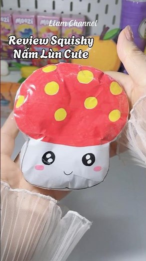 Review paper Squishy🍄🍄 Liam Channel