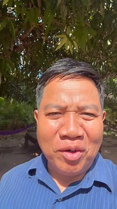 859K views · 10K reactions | Mekong Science មានអែបថ្មី!...