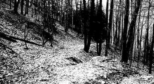 FBI authorised a gold digging hunt in Pennsylvania; what did they find?