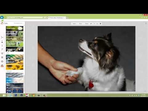 How To Use the Clone Tool in PicMonkey